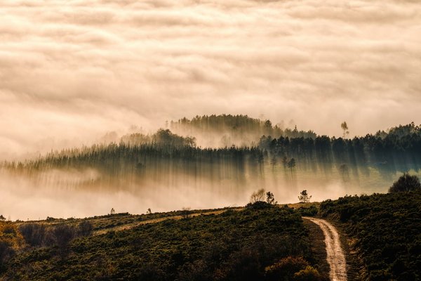 Quand le réseau rencontre le cloud : Le fog computing